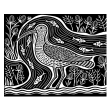 Conyer Curlew