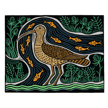 Conyer Curlew Coloured