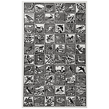 BirdLife